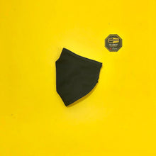 Load image into Gallery viewer, PREMIUM NANOTECH MASKS